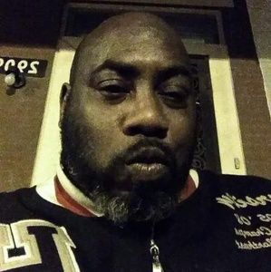 Meet your Posher, Sylvester